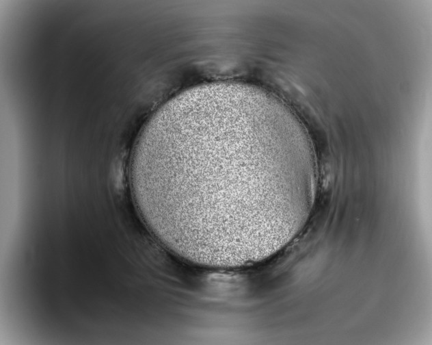 X0000095950515200801251132