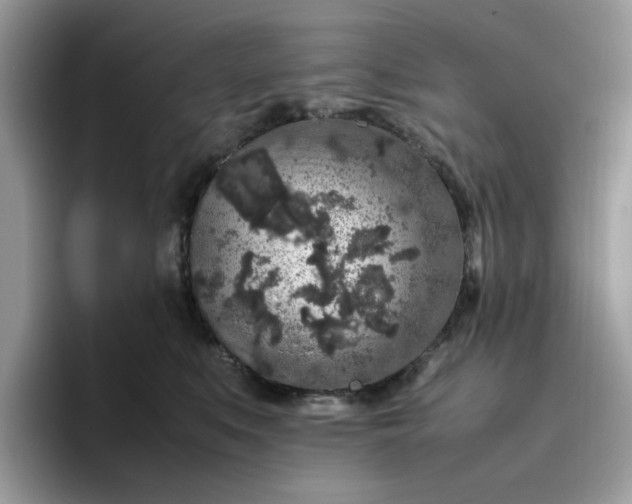 X0000095950519200801251132