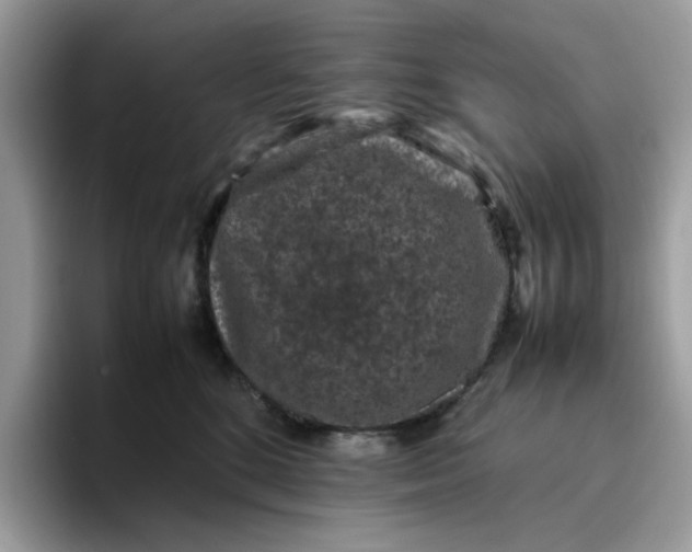 X0000095950520200801251132