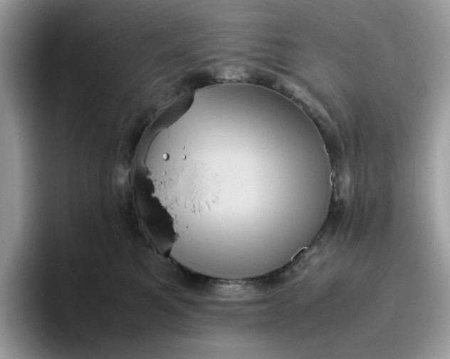 X0000095950521200801251132