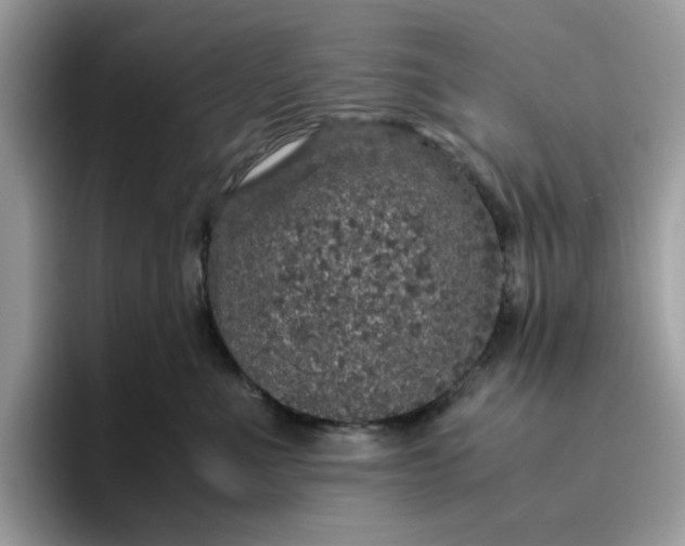 X0000095950523200801251132