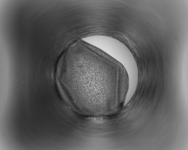 X0000095950524200801251132