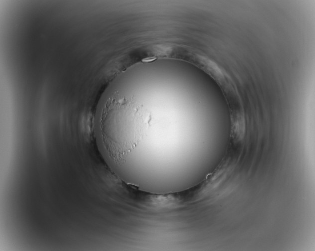 X0000095950525200801251132