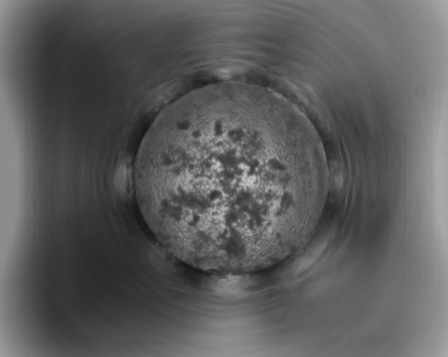 X0000095950527200801251132