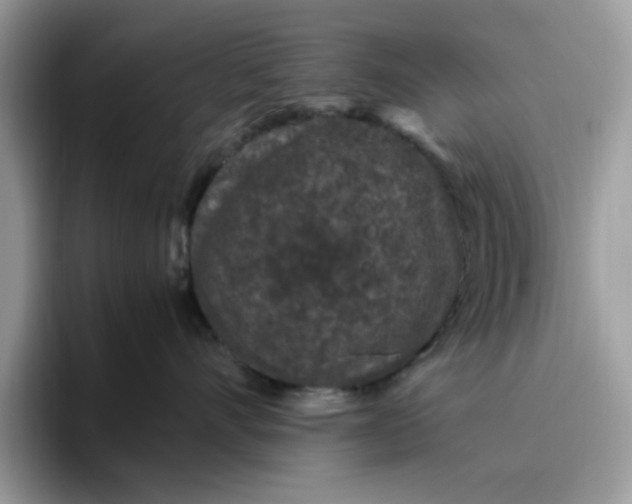 X0000095950528200801251132