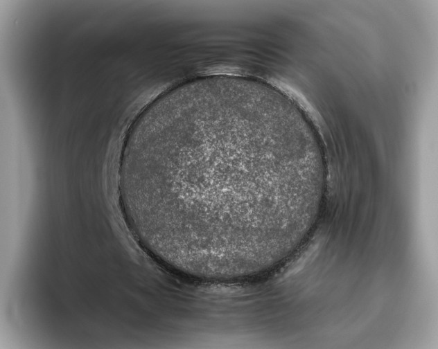 X0000095950529200801251132