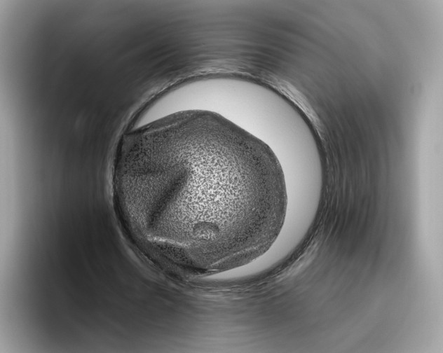 X0000095950530200801251132