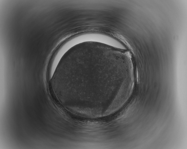 X0000095950531200801251132