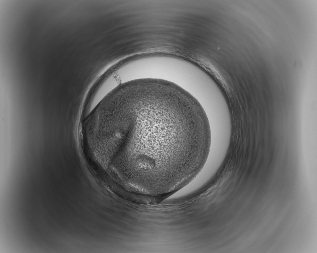 X0000095950532200801251132