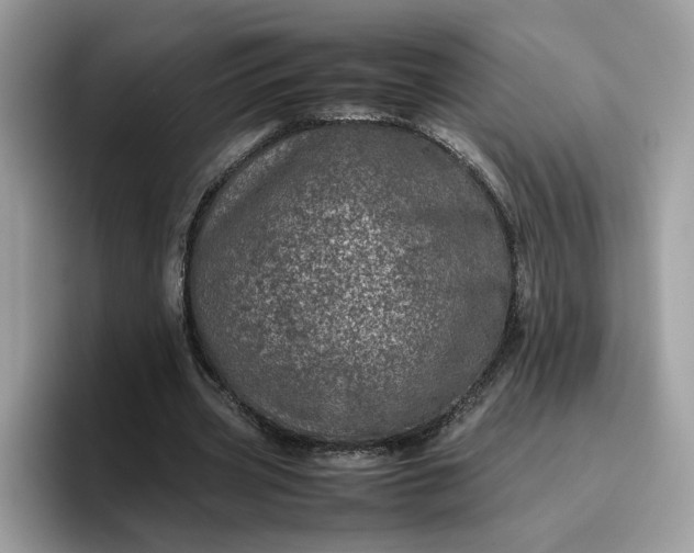 X0000095950533200801251132