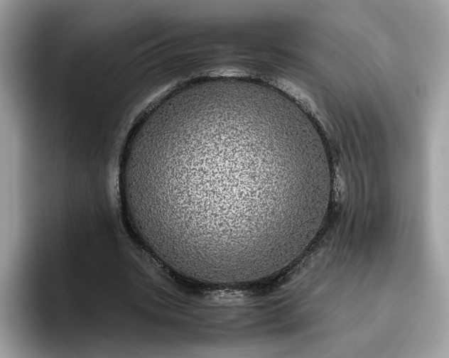 X0000095950535200801251132