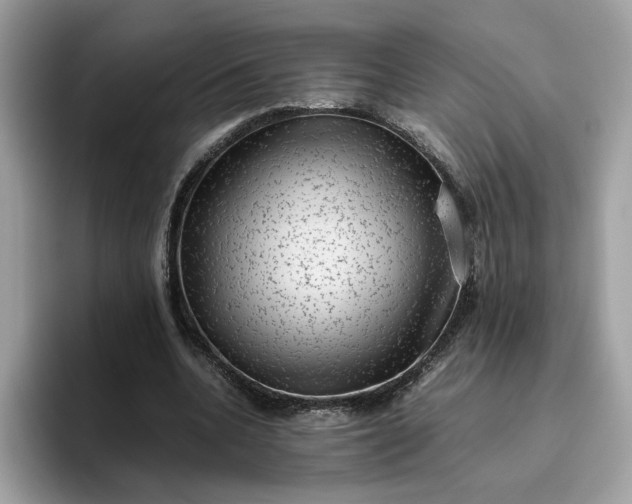 X0000095950536200801251132