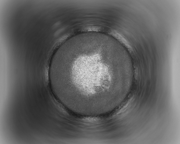 X0000095950537200801251132