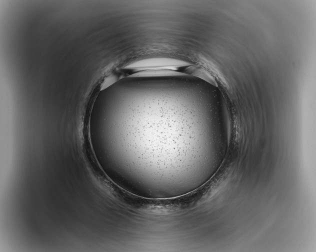 X0000095950538200801251132