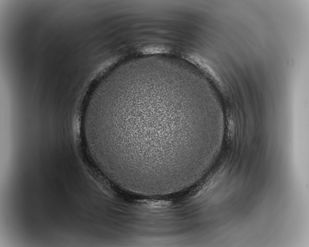 X0000095950539200801251132