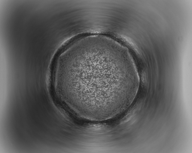 X0000095950540200801251132