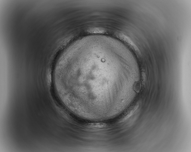 X0000095950541200801251132