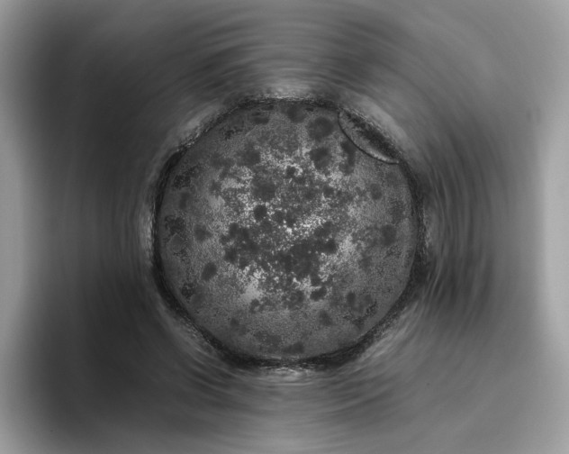 X0000095950542200801251132