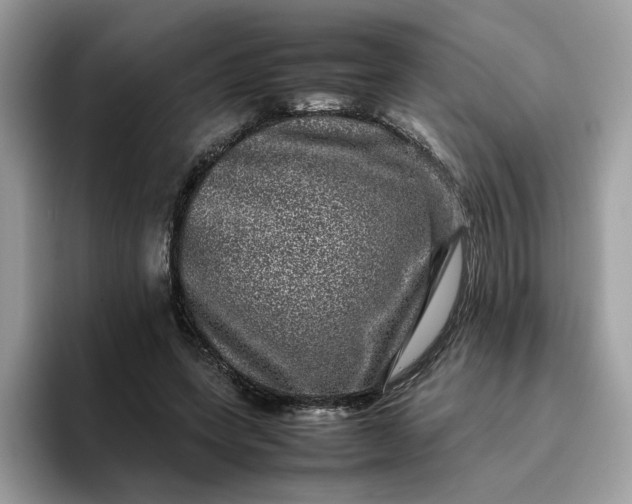 X0000095950543200801251132