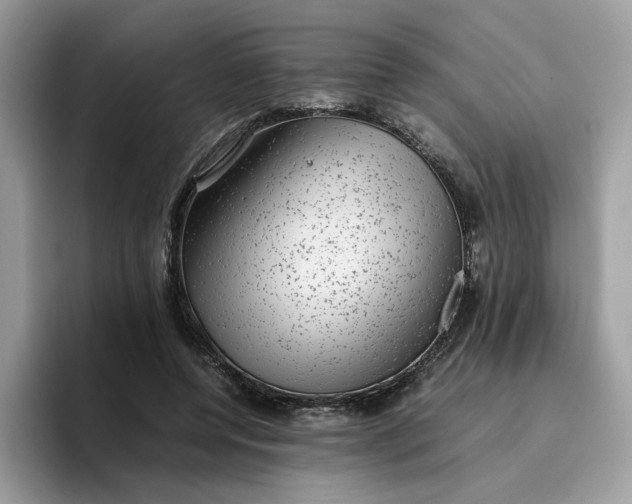 X0000095950544200801251132