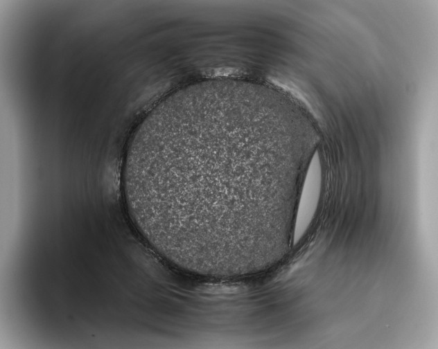 X0000095950545200801251132