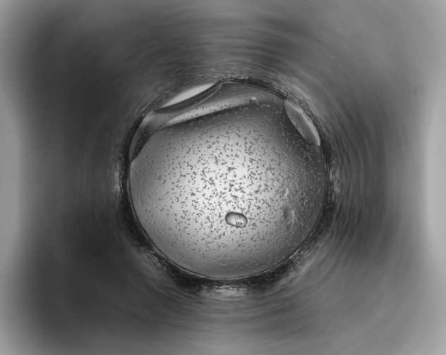 X0000095950546200801251132