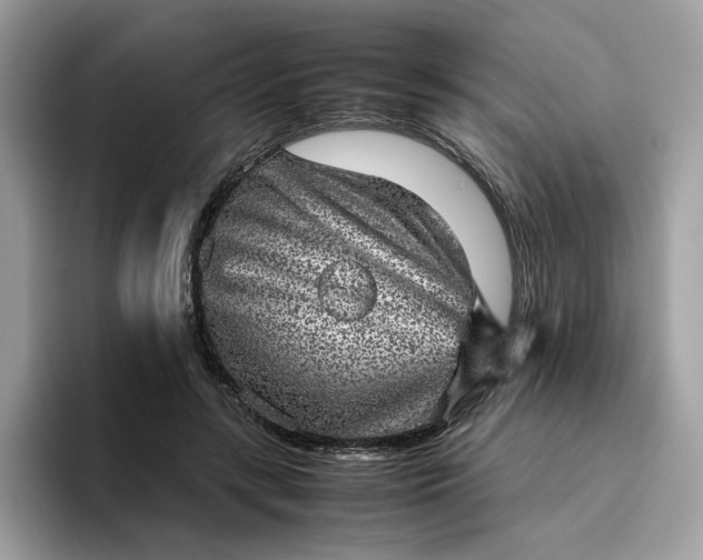 X0000095950547200801251132