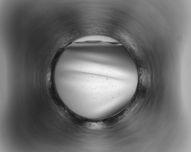 X0000095950548200801251132