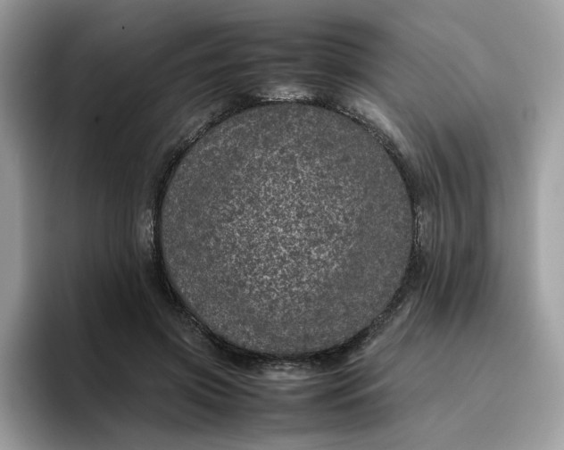 X0000095950549200801251132