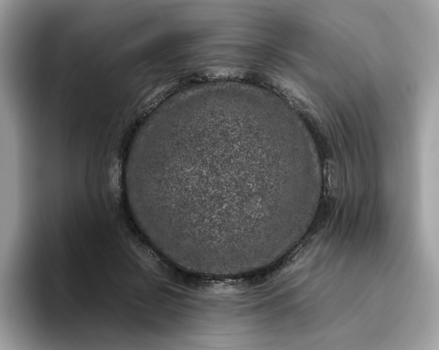 X0000095950550200801251132