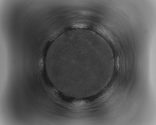 X0000095950551200801251132