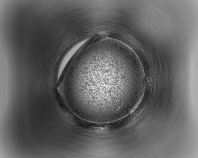 X0000095950552200801251132