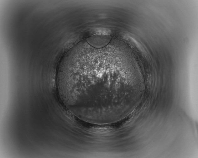 X0000095950553200801251132