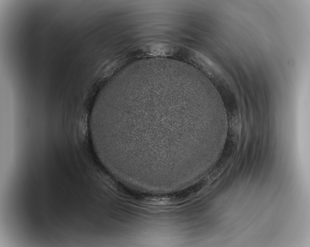 X0000095950554200801251132