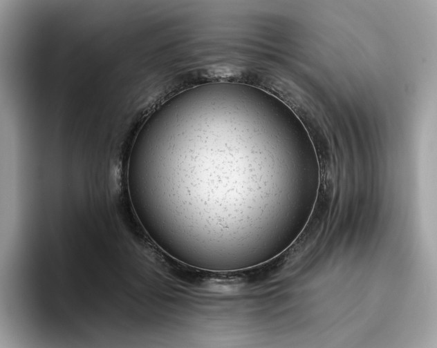 X0000095950556200801251132