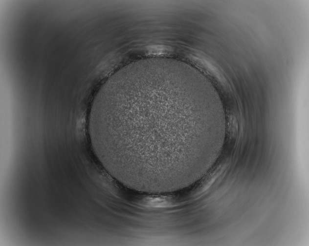 X0000095950557200801251132