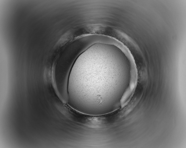 X0000095950558200801251132