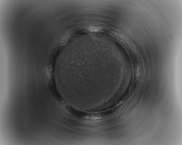 X0000095950559200801251132