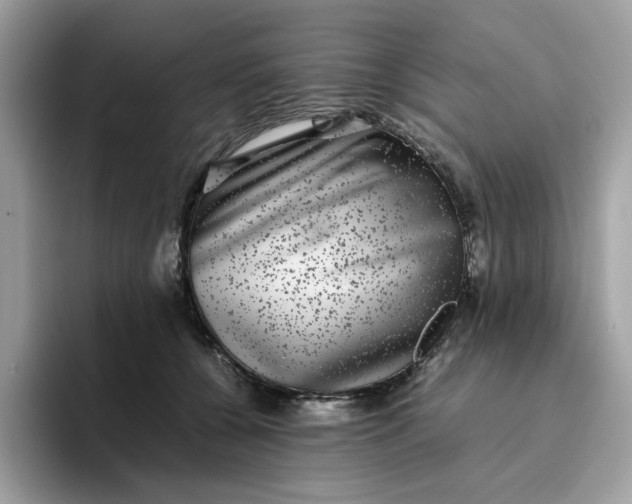 X0000095950560200801251132