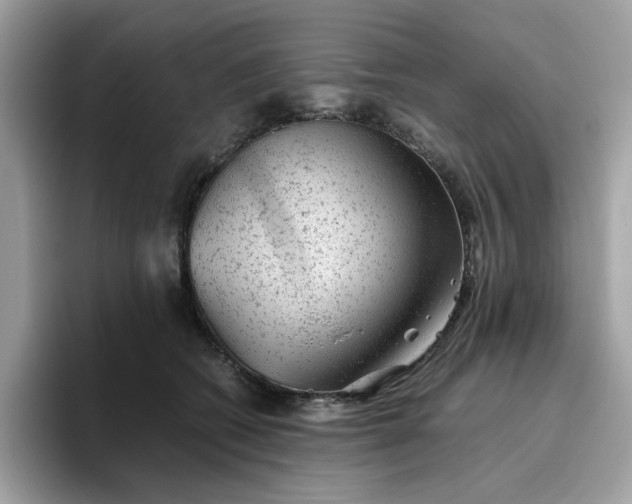 X0000095950562200801251132