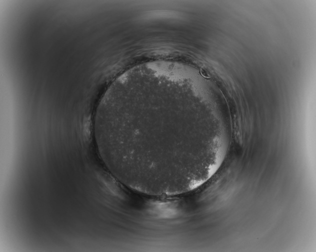 X0000095950563200801251132