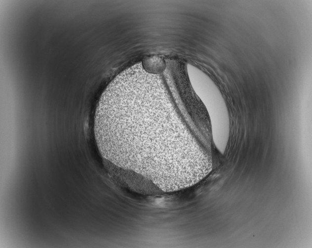 X0000095950564200801251132