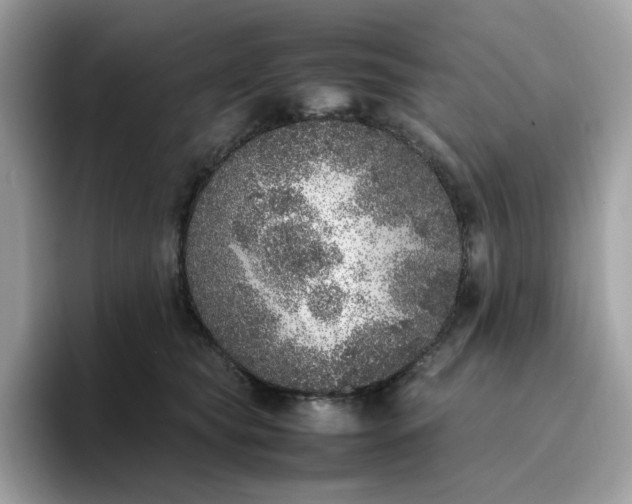 X0000095950565200801251132