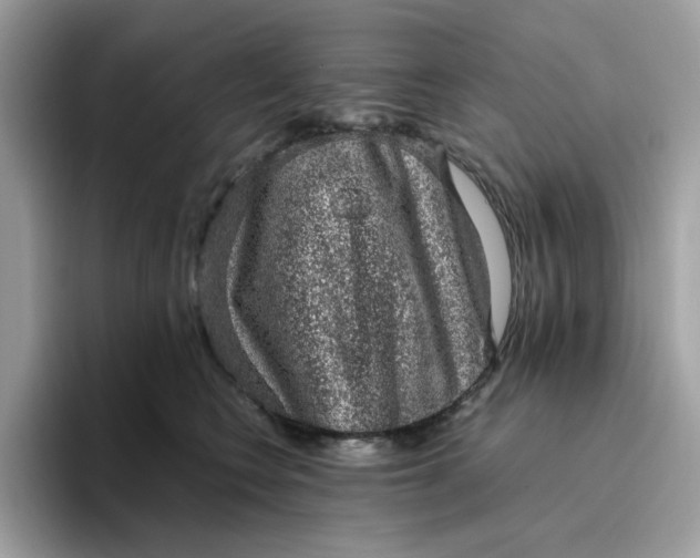 X0000095950566200801251132