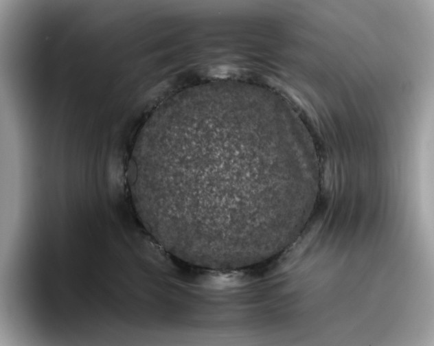 X0000095950569200801251132