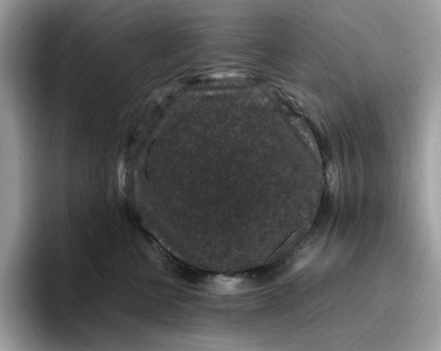 X0000095950570200801251132