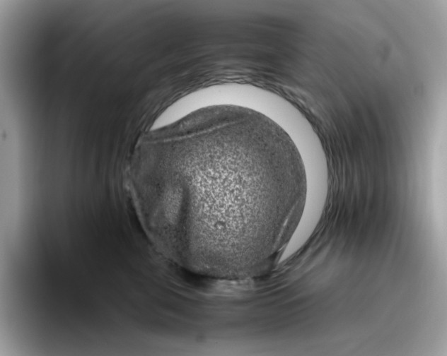 X0000095950571200801251132