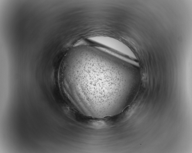 X0000095950572200801251132