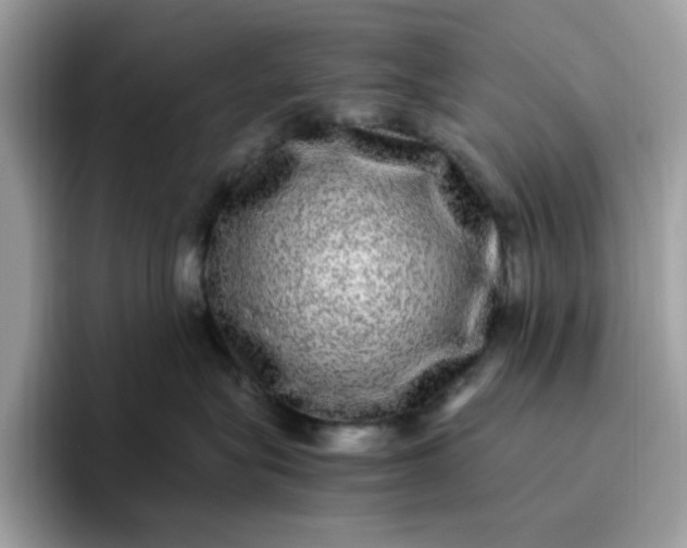 X0000095950575200801251132