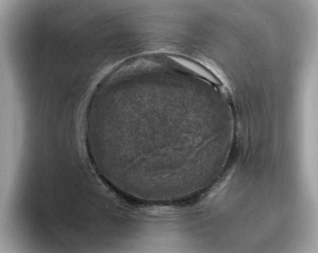 X0000095950577200801251132